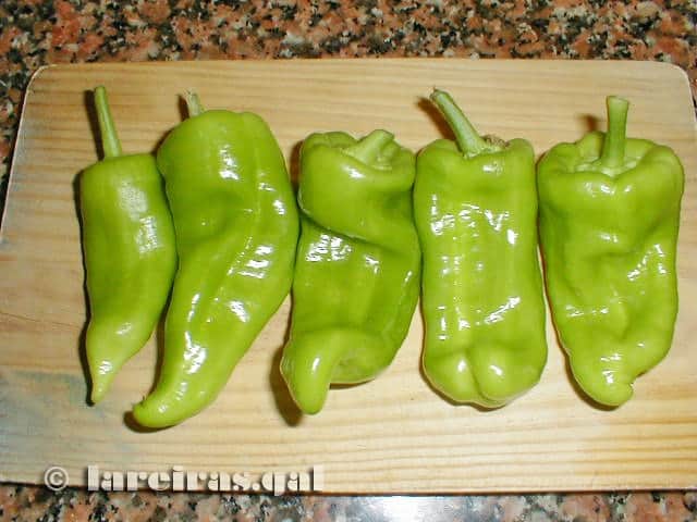 Pimientos de Arnoia