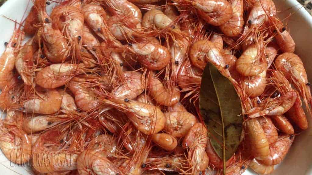 Camarones