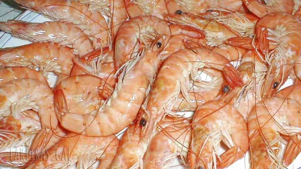 Langostinos