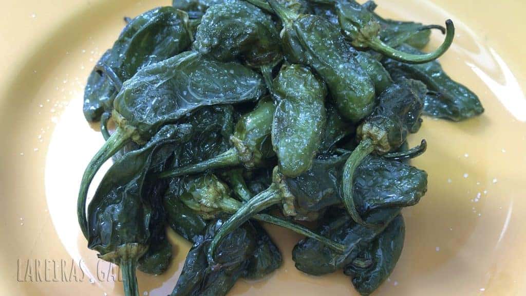 Pimientos de Padrón